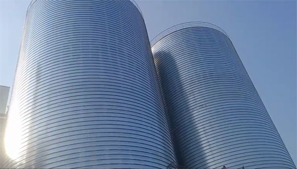 方城2座混凝土高架卷板仓